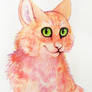 Firestar aquarelle portrait