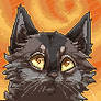 Graystripe avatar