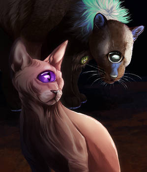 Cyclops kitties