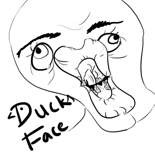 DUCK FACE by rand0mness125 on DeviantArt. 