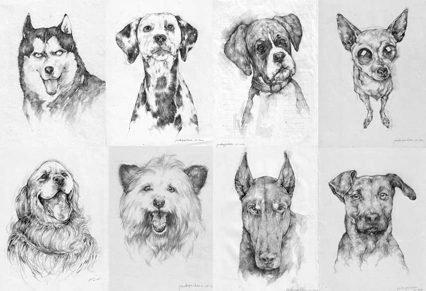 Dog Series