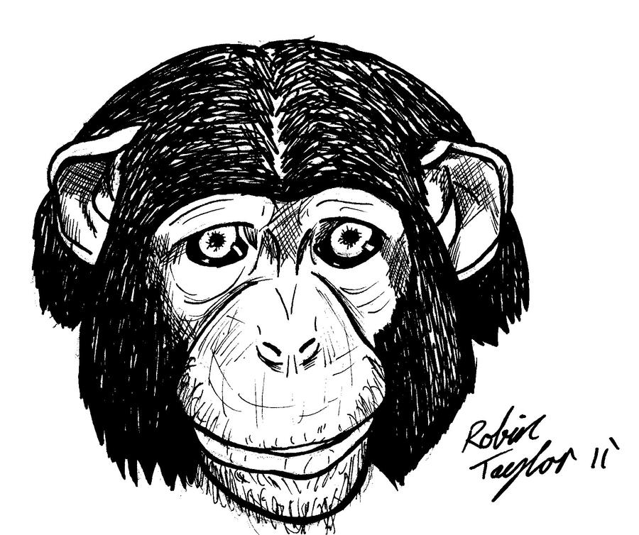 Chimp Drawing