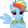 Rainbow Dash and her book