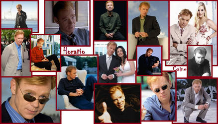 Horatio Caine WP