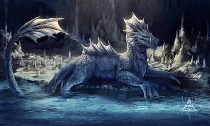 Water Dragon | Decade Redraw