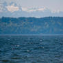 Sailing on Puget Sound