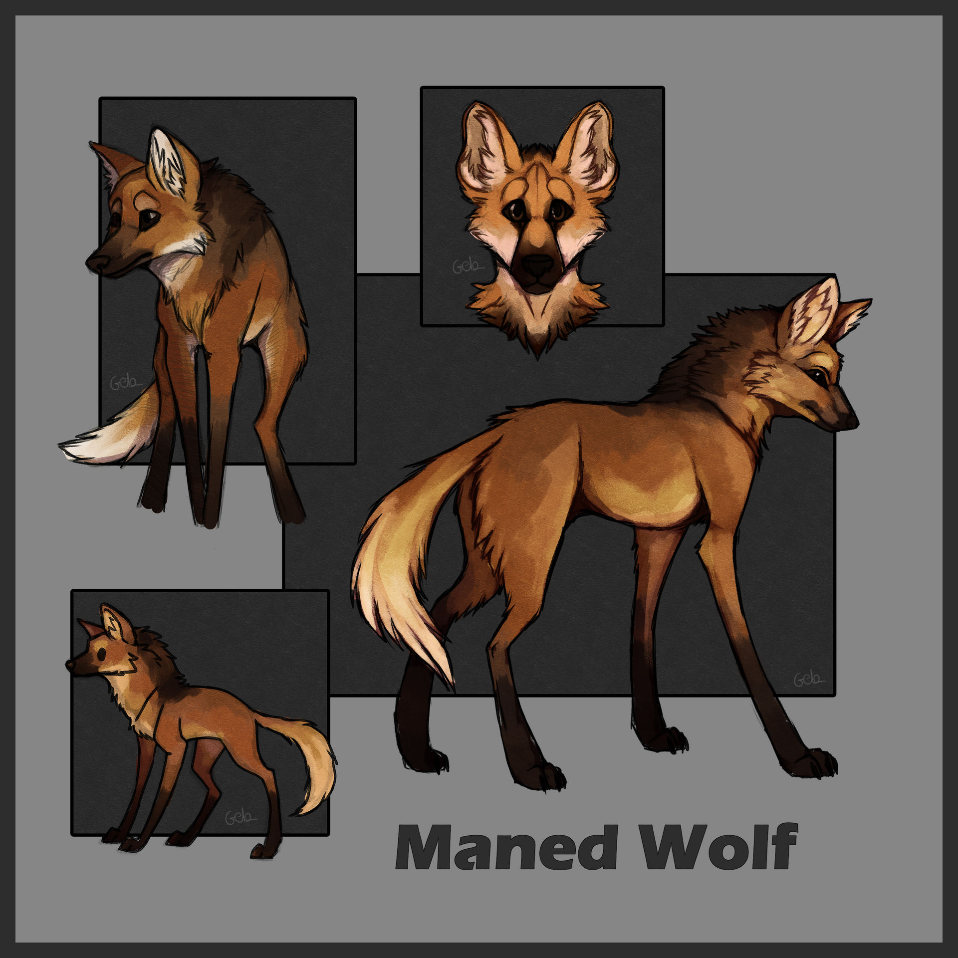 Maned Wolf by Gela98 on DeviantArt