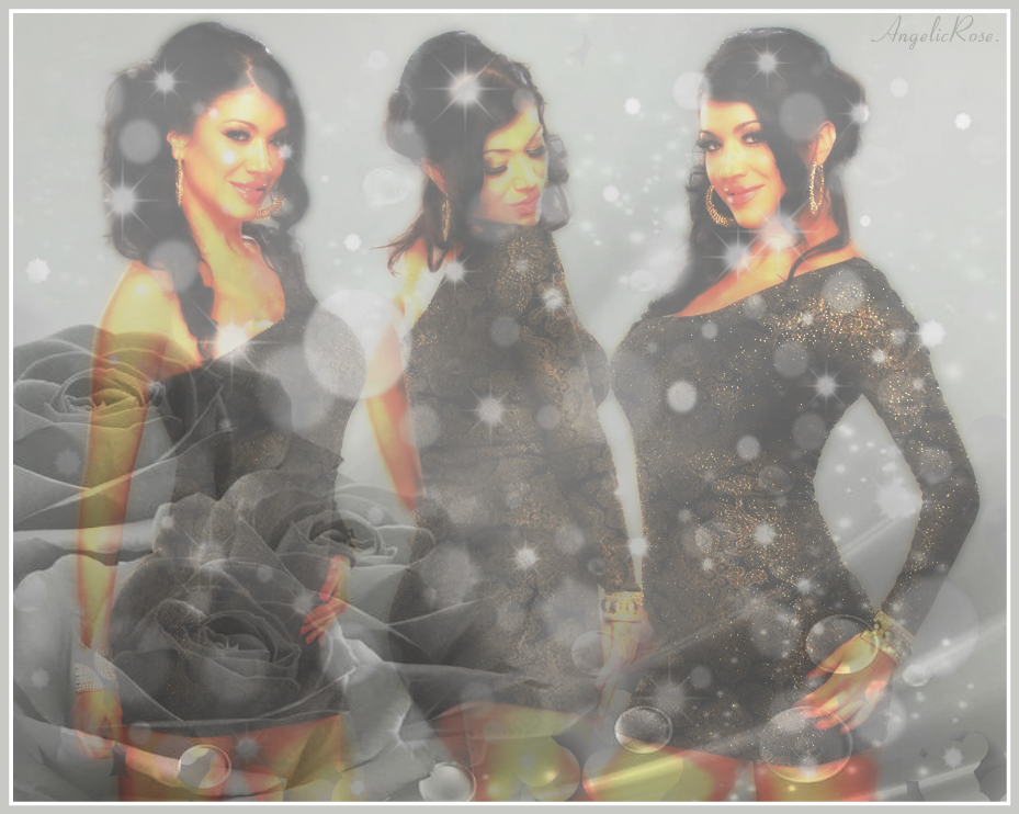 Rosa Mendes Banner