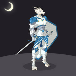 Solemn Knight (COM)