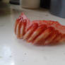 Vampire Dentures 01