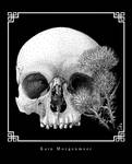 Skull and plumeless thistles / Vanitas II
