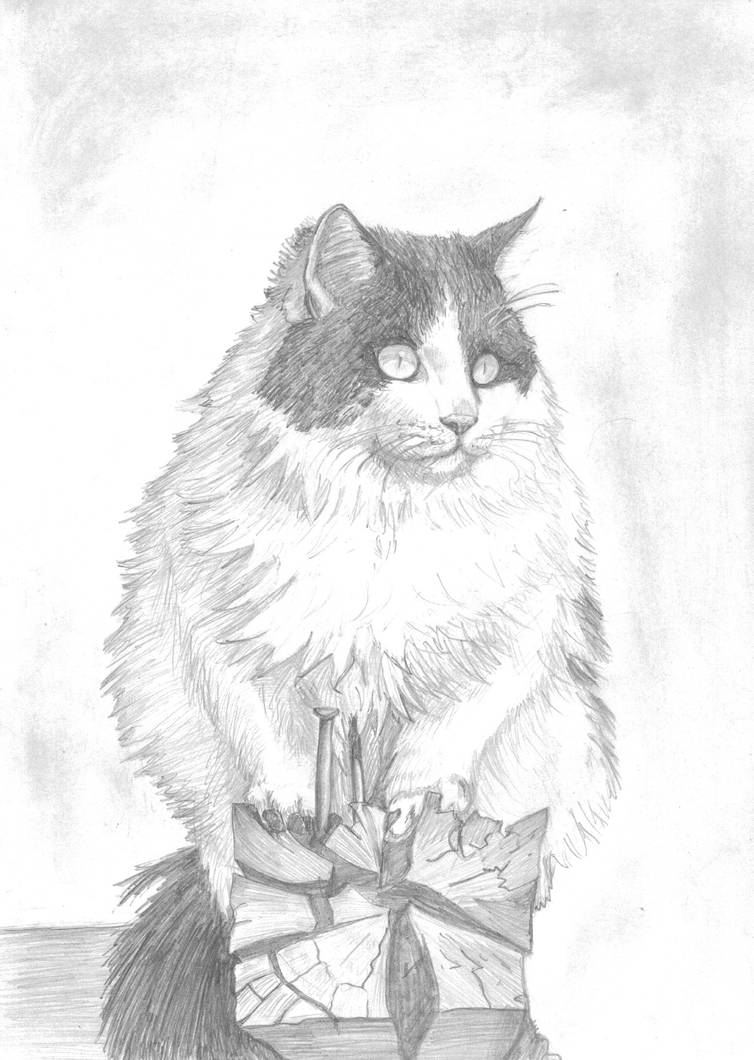 Timka by IIETPEHKO on DeviantArt