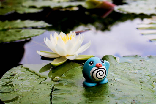 Poliwag in a lotus pond