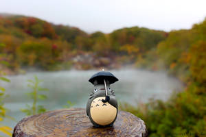 Totoro in Autumn