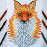 The fox :)