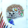 Hedgehog :)