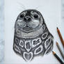 Happy seal :)