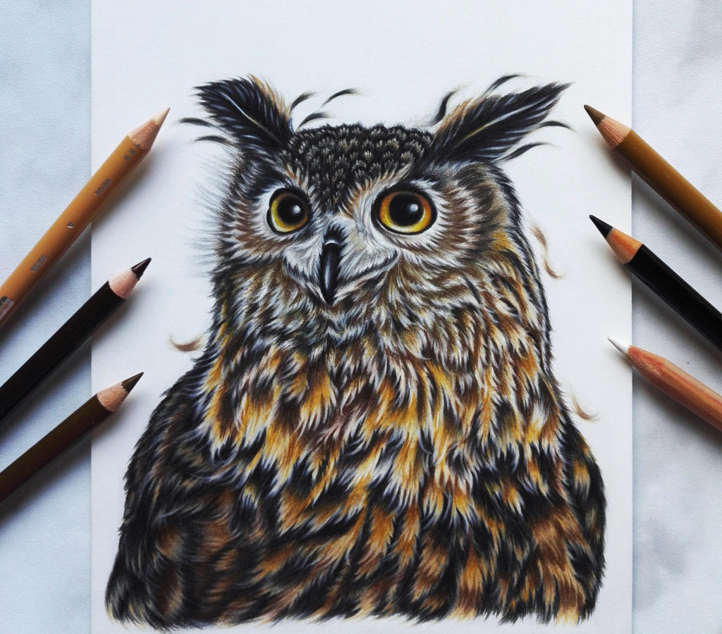 The owl :) by AnnasDrawing on DeviantArt
