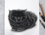 Black kitten :)