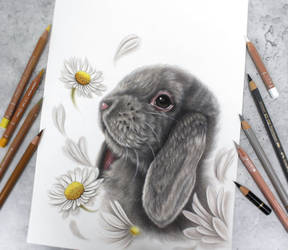 Bunny:)