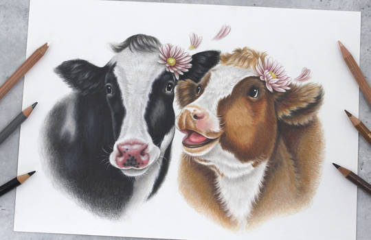 Cow friends :)