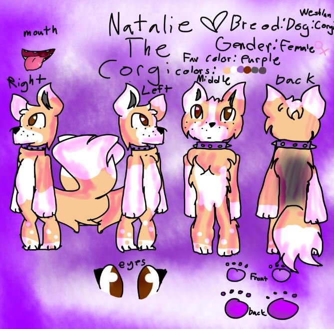 Ref sheet fanial Natalie the corgi