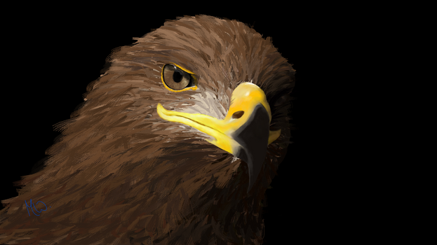 Eagle