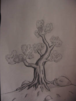 The Tree