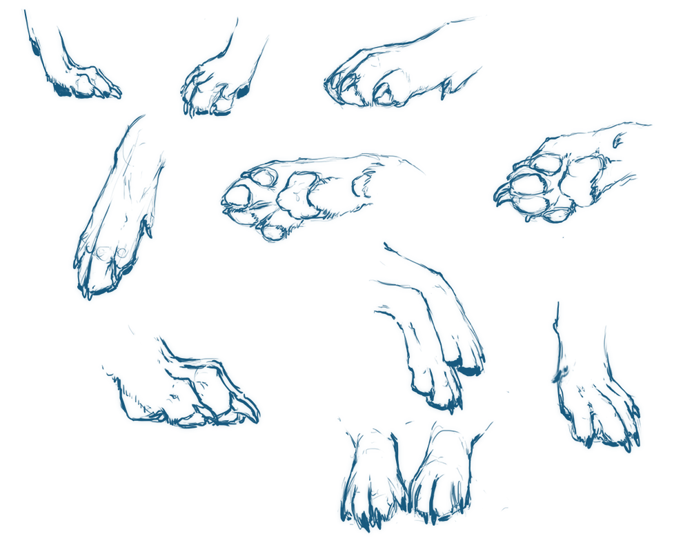 Paws ya'll