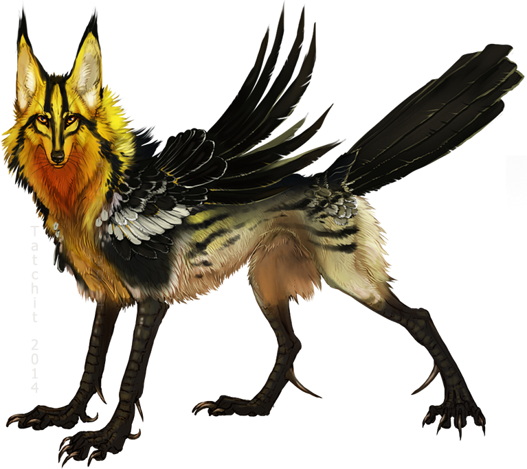 Warbler Feonix design