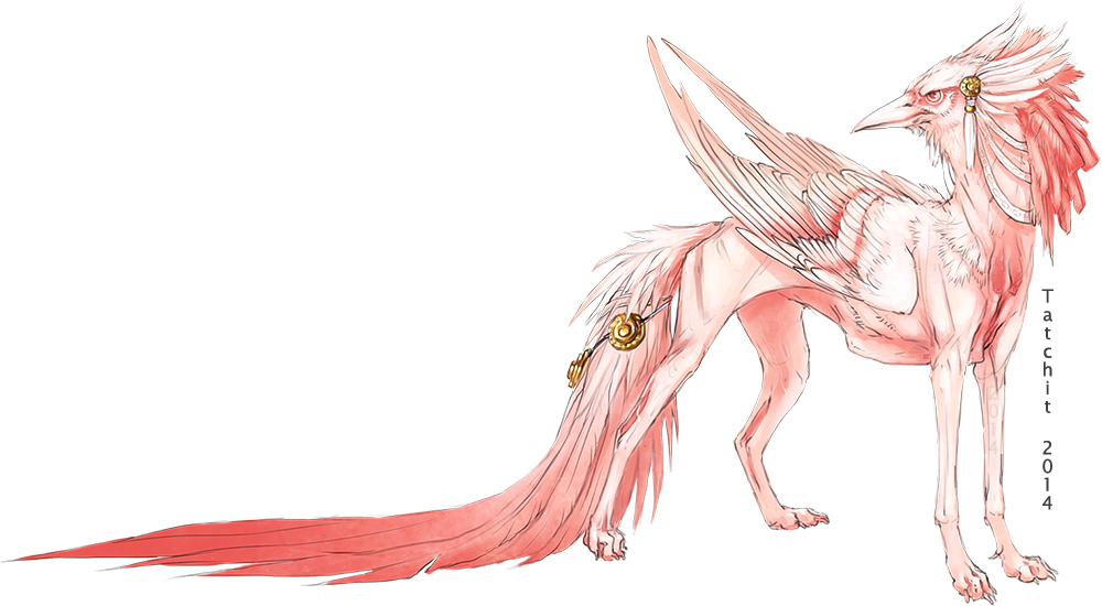 Pale Birddog Adopt