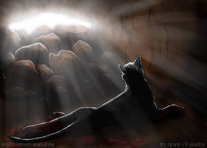 Hollyleaf's Story. Ch. I