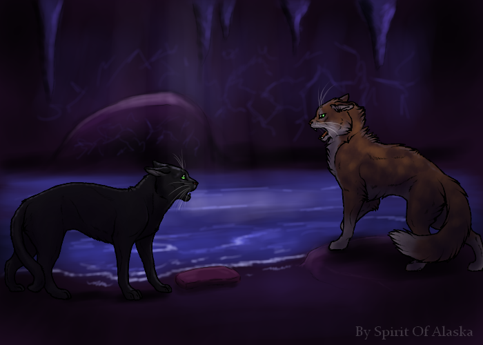 Hollyleaf's Story. Ch. IV