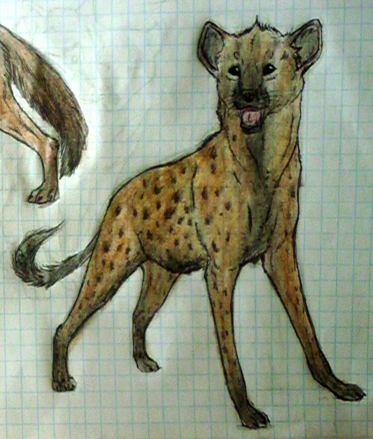 Hyena