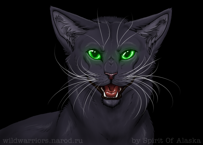 Hollyleaf's Story. Ch. X, Part II