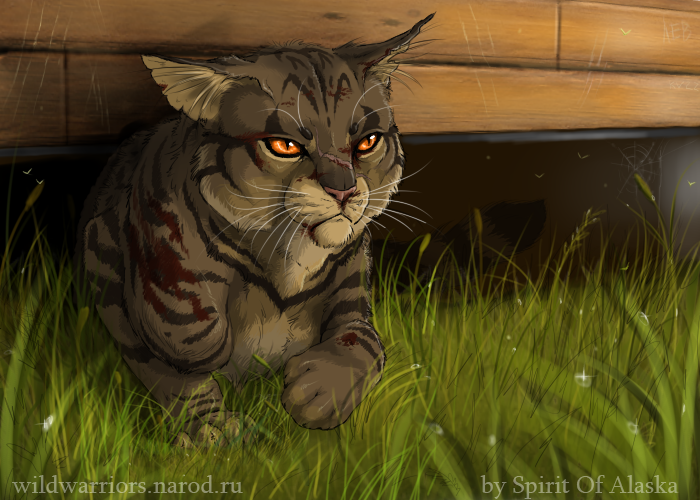 Tigerclaw's Fury. Ch. II