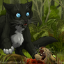 Tigerclaw's Fury. Ch. VI