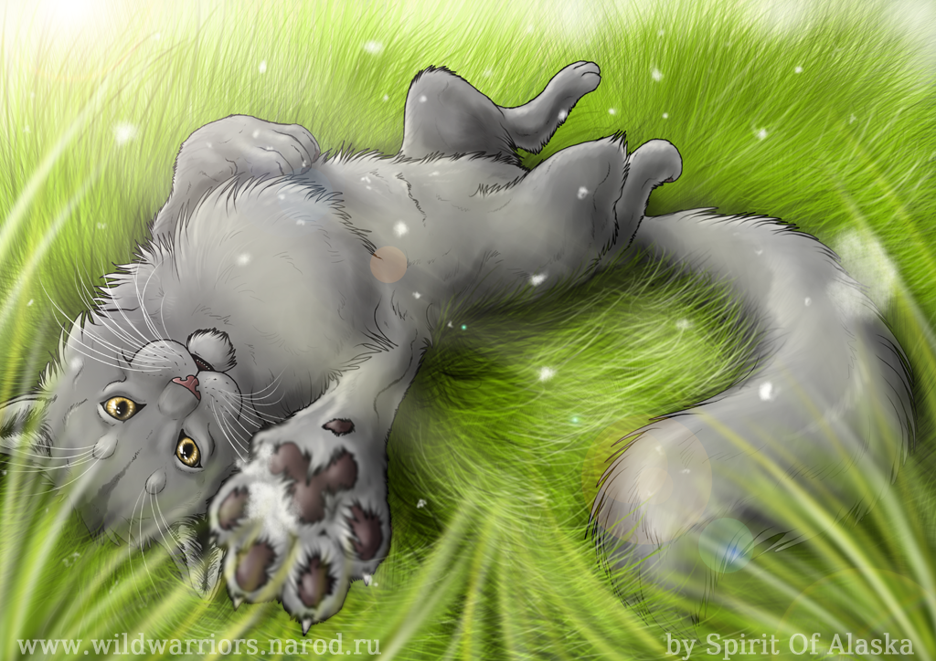 Graystripe