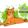 21WCC: Kindness - Firestar