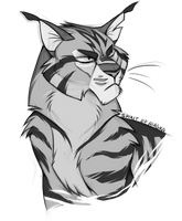 Tigerstar