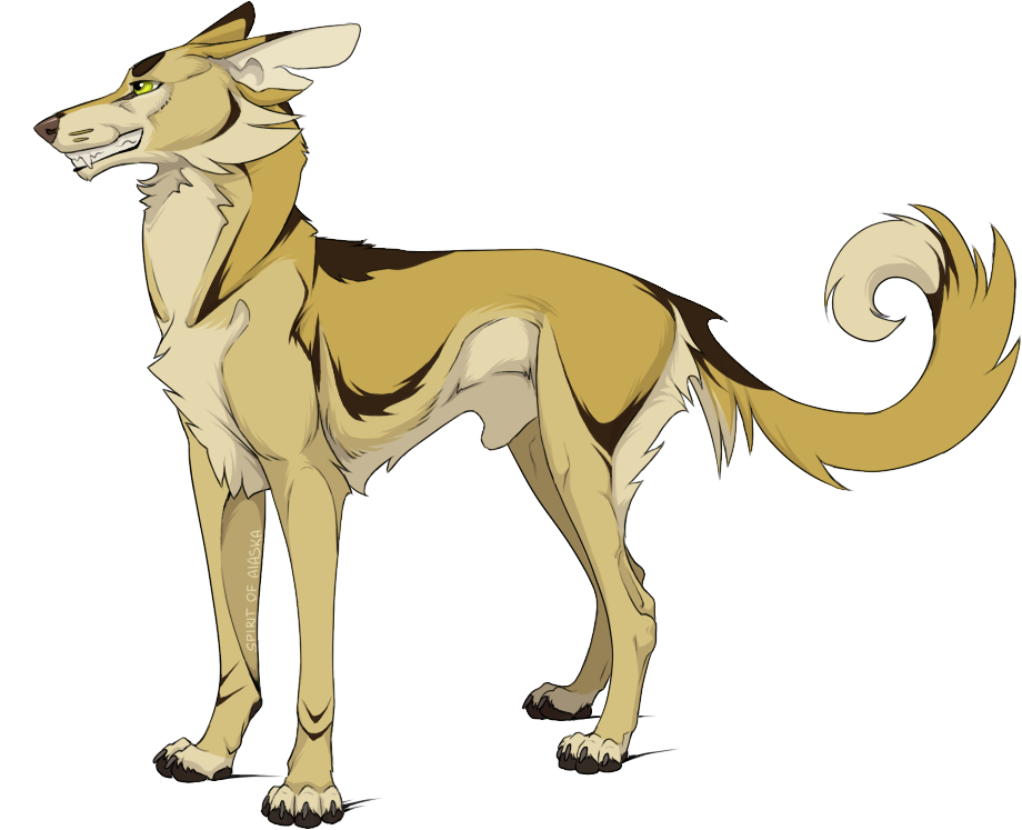 Longtail according to Warriors Wiki by L-i-n-e-S on DeviantArt