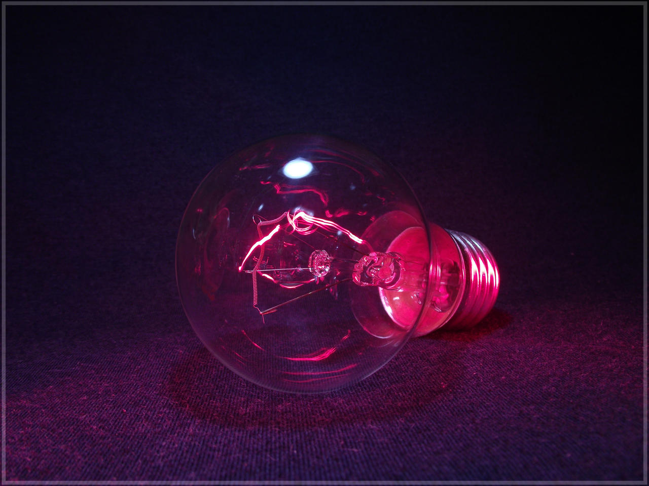 Bulb