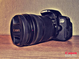 my new sweetheart (Canon EOS 700D-18-135mm IS STM)