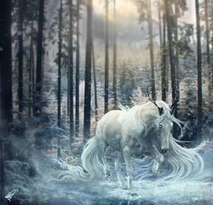 Frost King by xDjurax Frost King by xDjurax