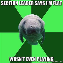 Section Leader Fail?