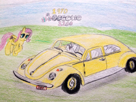 Fluttershy's Vee-Dub Beetle