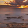 Maroubra Rays