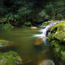Bush Rock Garden