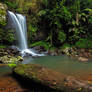 Curtis Falls - Mt Tamborine