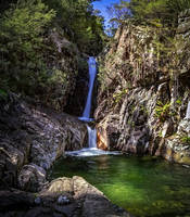 Rollason Falls